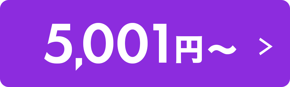 5001円~
